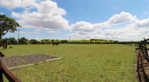 Front Paddock