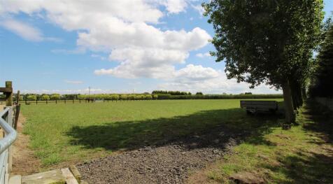 Middle Paddock