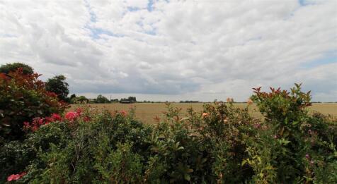 Fields to the Rear