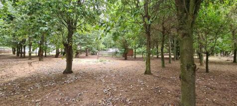 Grounds and Kennels