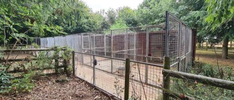 Outdoor Kennels