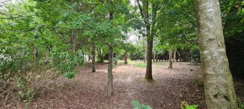 Grounds