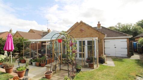 Catio