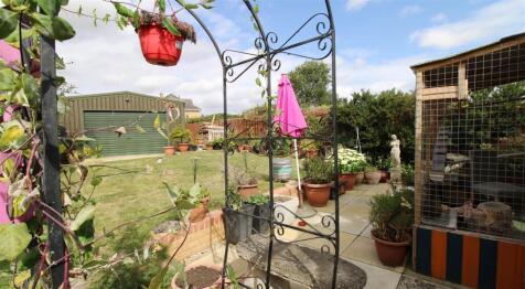 Garden and Patio
