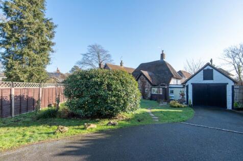 Cherrytree-6