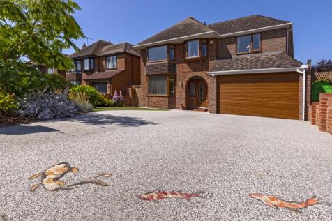Sea Lane_54