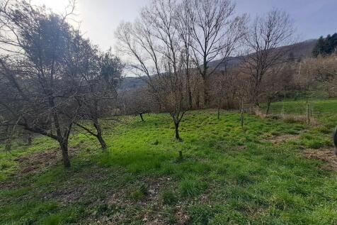 Property Image 61