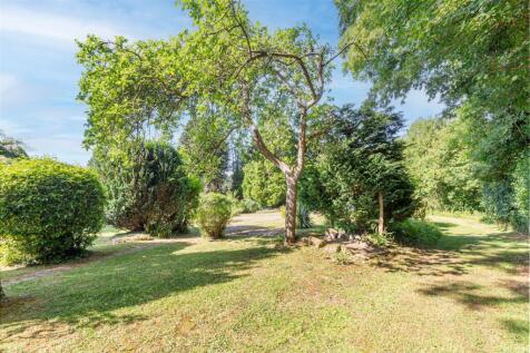 Garden-5.jpg