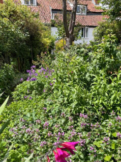 Garden Office