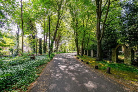 Property Image 58