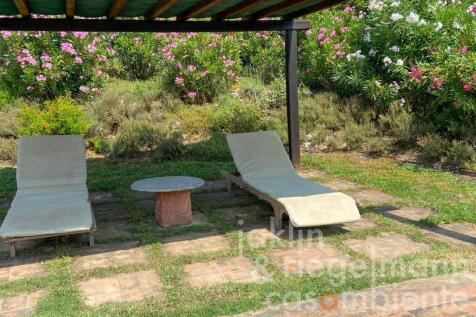 Property Image 51