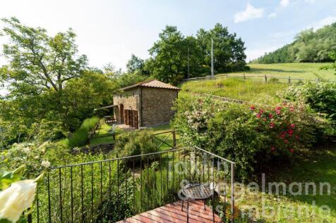 Property Image 43