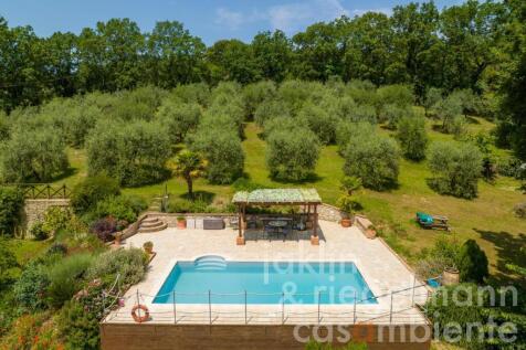 Property Image 41