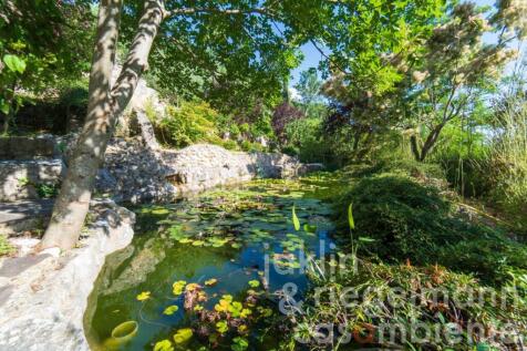 Property Image 74