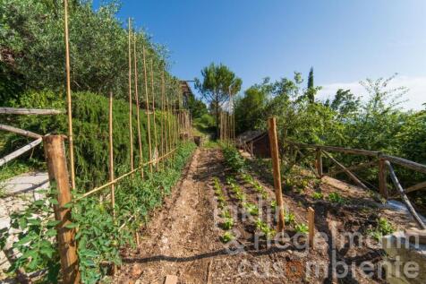 Property Image 76
