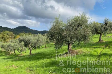 Property Image 63