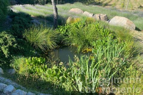 Property Image 64