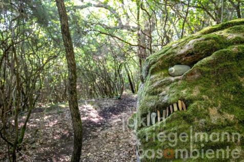 Property Image 66