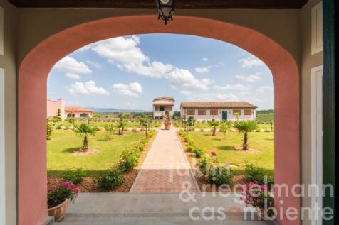 Property Image 116