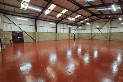 20241031_143519 Medium.jpg