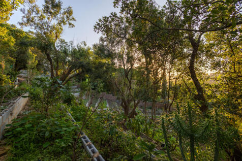 Property Image 81