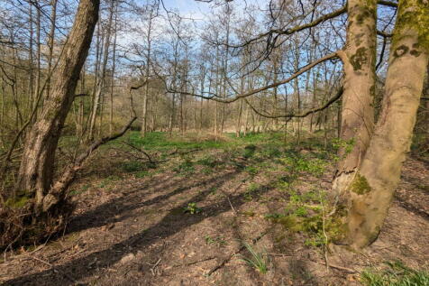 Property Image 54
