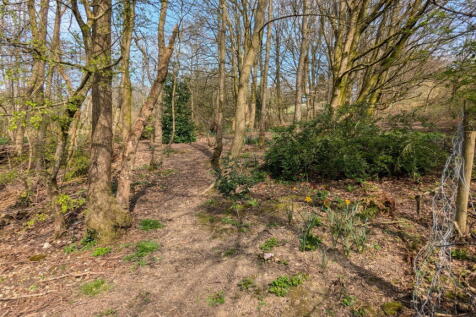 Property Image 55