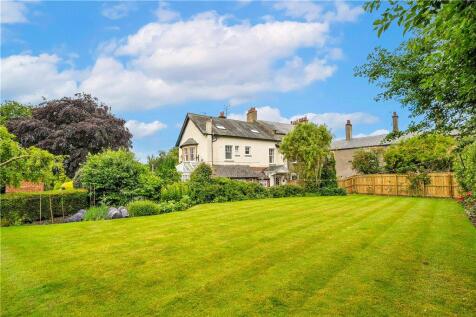 Back Garden
