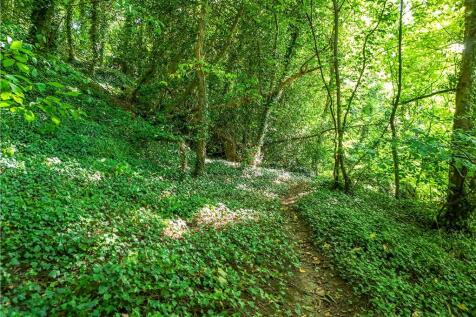 Woodland