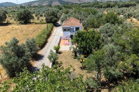 Property Image 38