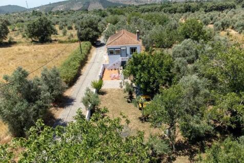 Property Image 39