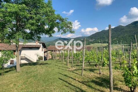 Property Image 54