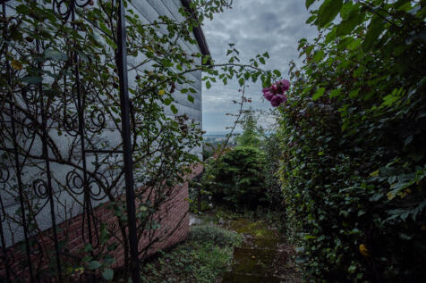 Garten_3