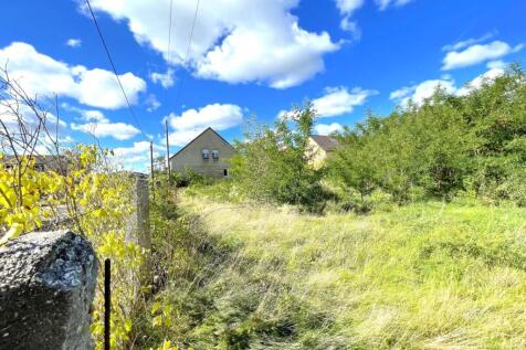 Blick aus dem Garten