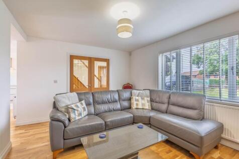 New back lounge