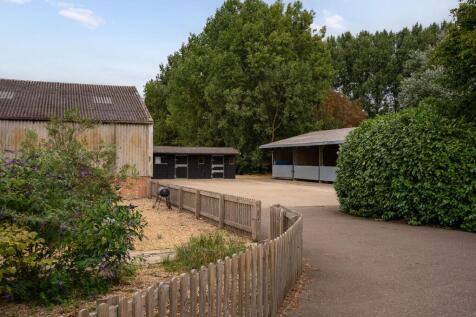 Driveway to Yard