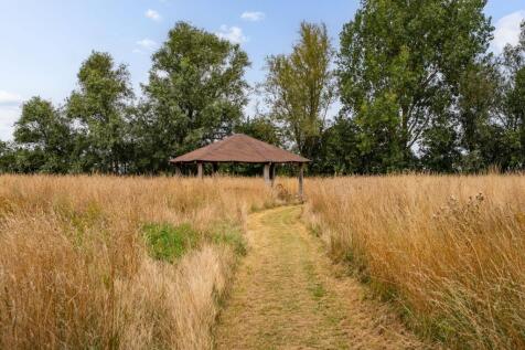 Meadow