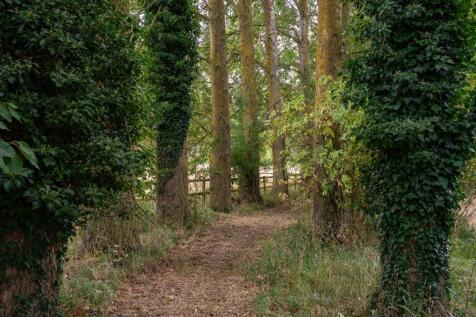 Avenue