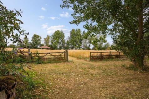 Meadow