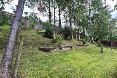 Woodland 