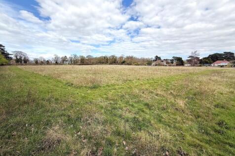 EQUESTRIAN LAND 4