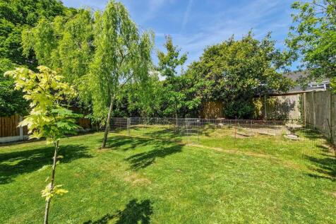 Rear of the garden