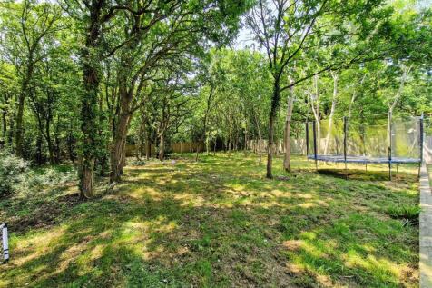 Wild garden area