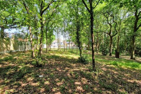 Wild garden area