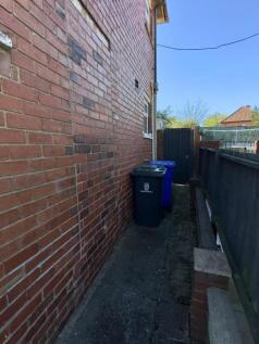 IMG_4727.jpeg