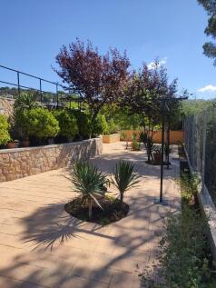 Property Image 36