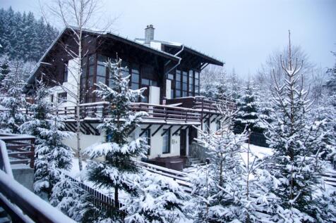 Winter view