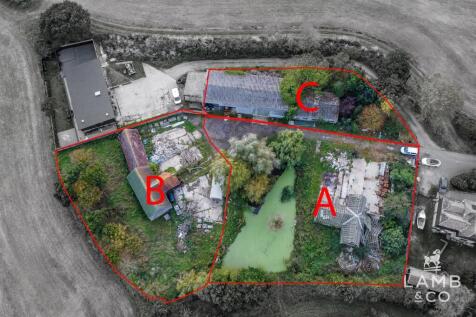 THE SITE