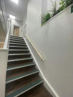 IMG_3738.JPEG