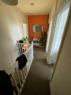 IMG_3731.jpeg